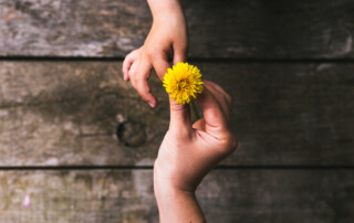 Parent and child hands.